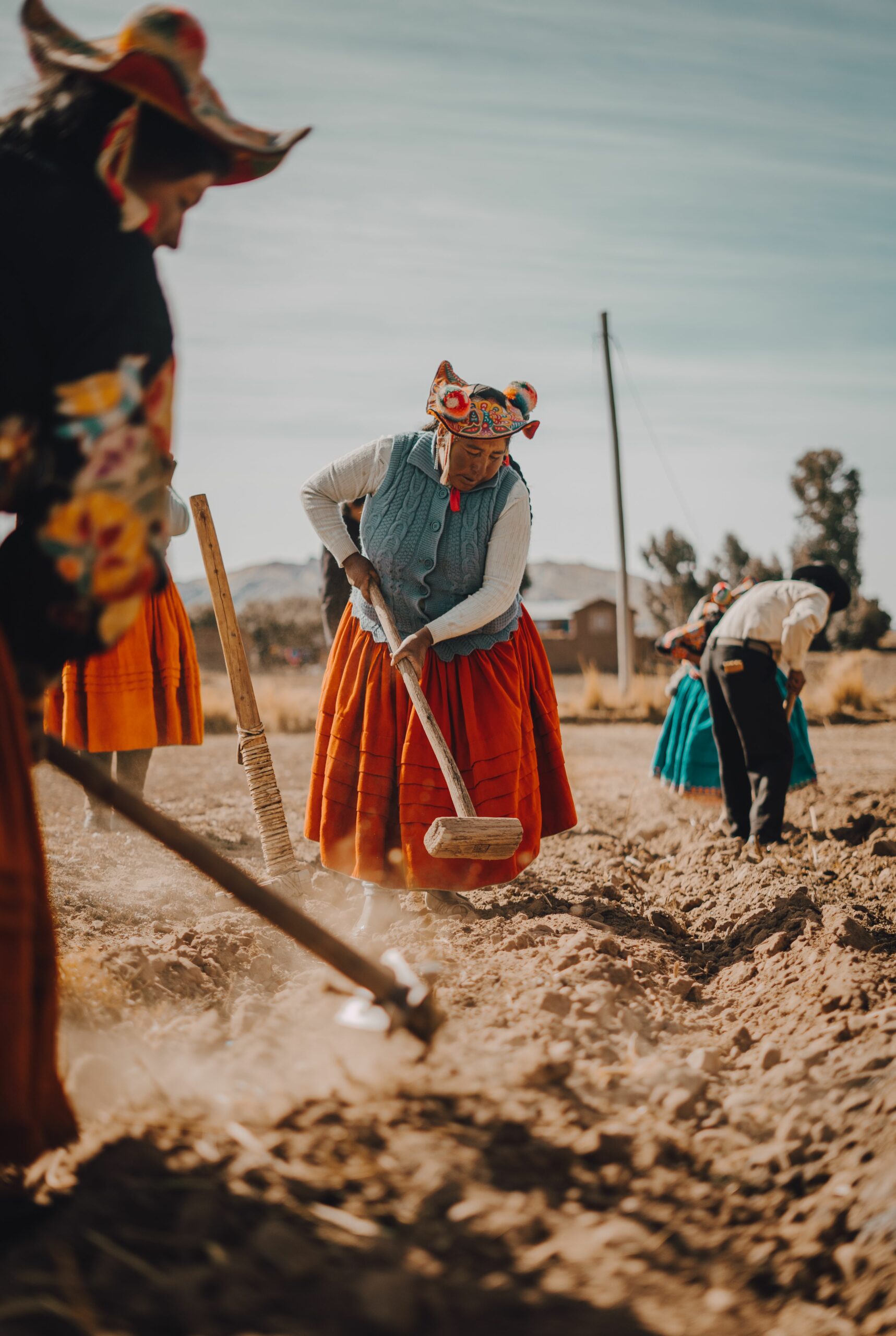 Mujer andina cultivando la tierra con herramientas tradicionales en los Andes de Perú