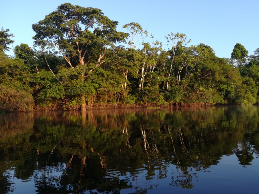 Bosque amazónico reflejado en las aguas quietas de un río de la Reserva Nacional Pacaya Samiria, Perú