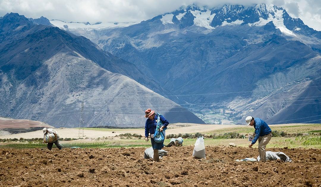 Sierra alta del Perú: paisaje andino de altitud, resistencia y biodiversidad